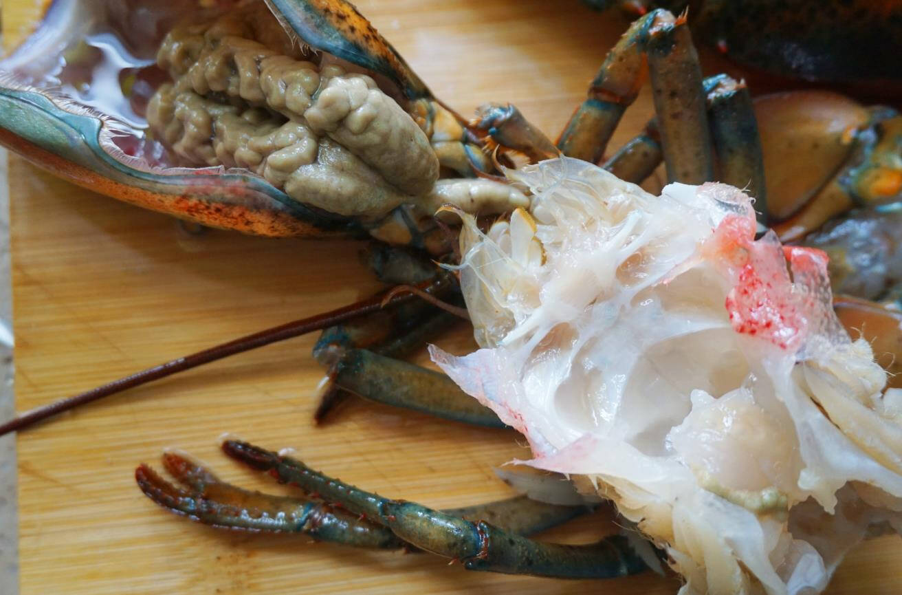 成都哪个幼师学校比力好:BJL平台(图3) BJL平台