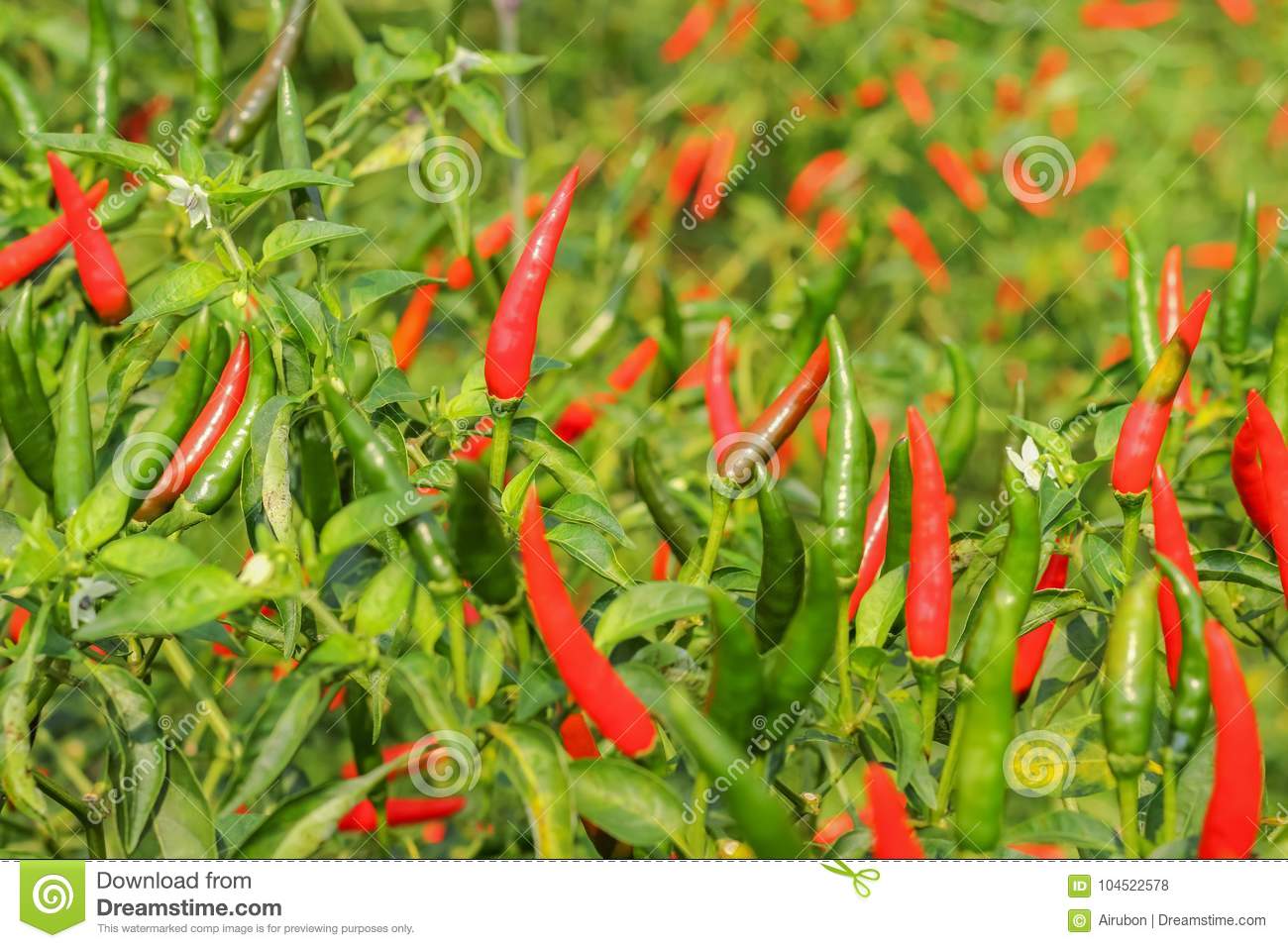 脸垮了?如何对抗面部衰老:BJL平台(图1) BJL平台集团