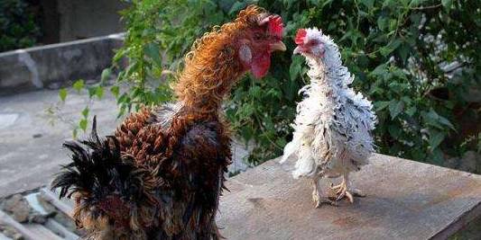 BJL平台集团_【医美资讯】医美热点资讯动态汇总7.30(图1) BJL平台集团