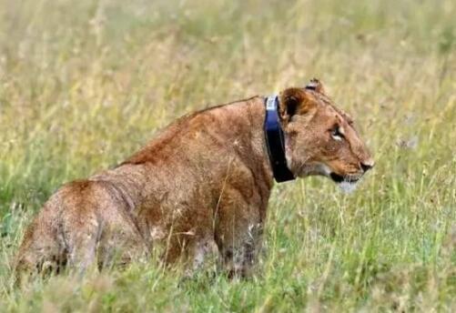 报价优选系列方案——某养老院工程建设报价表|BJL平台(图1) BJL平台集团